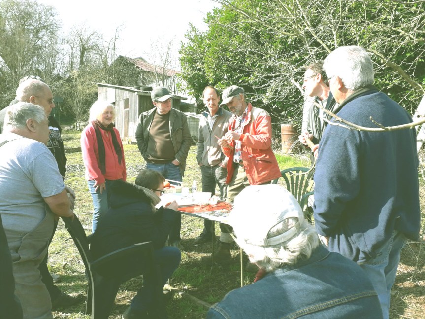 Formation à l&rsquo;entretien, la taille et le greffage des arbres&nbsp;fruitiers