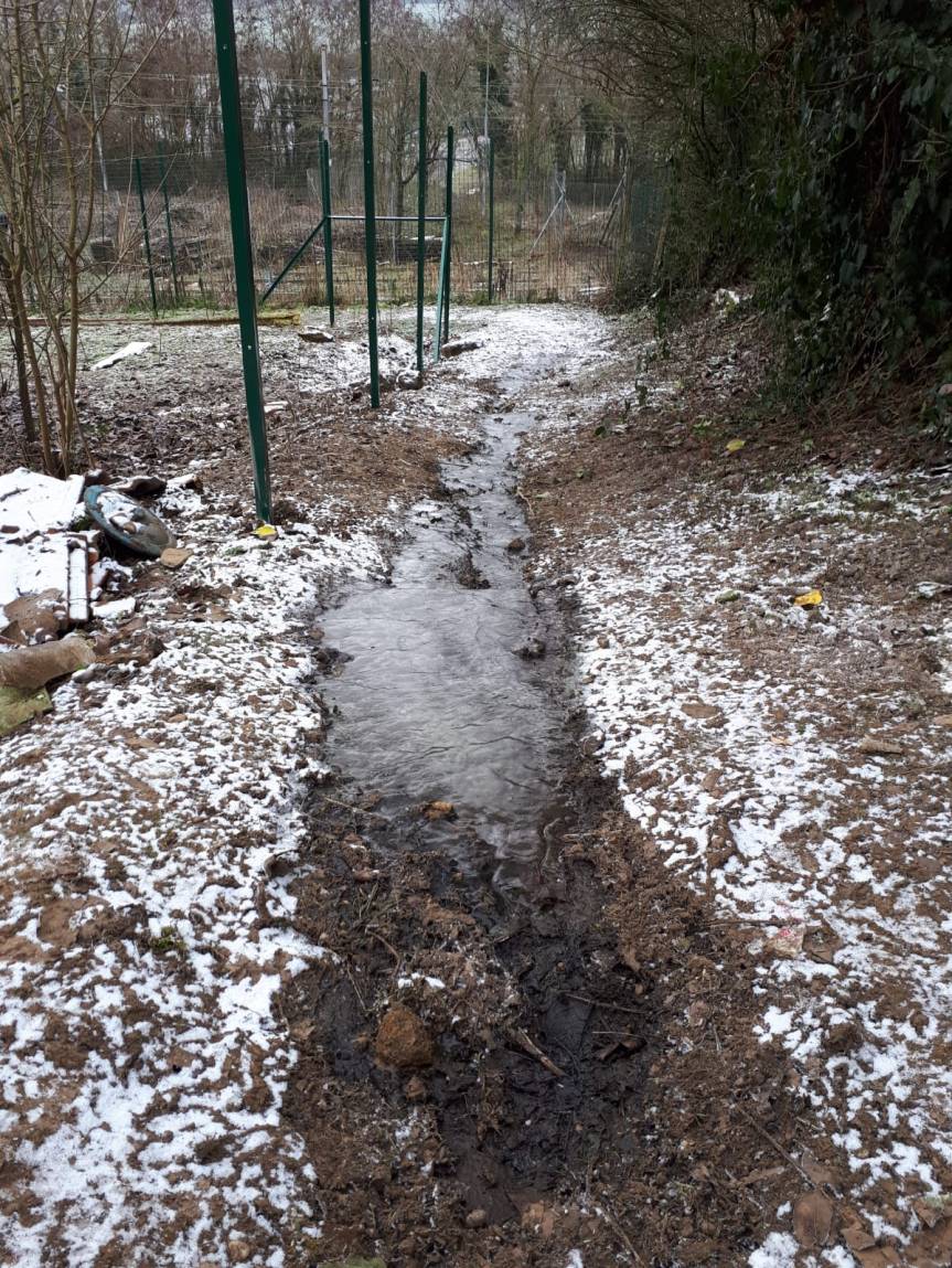 Conseils jardinage en&nbsp;automne