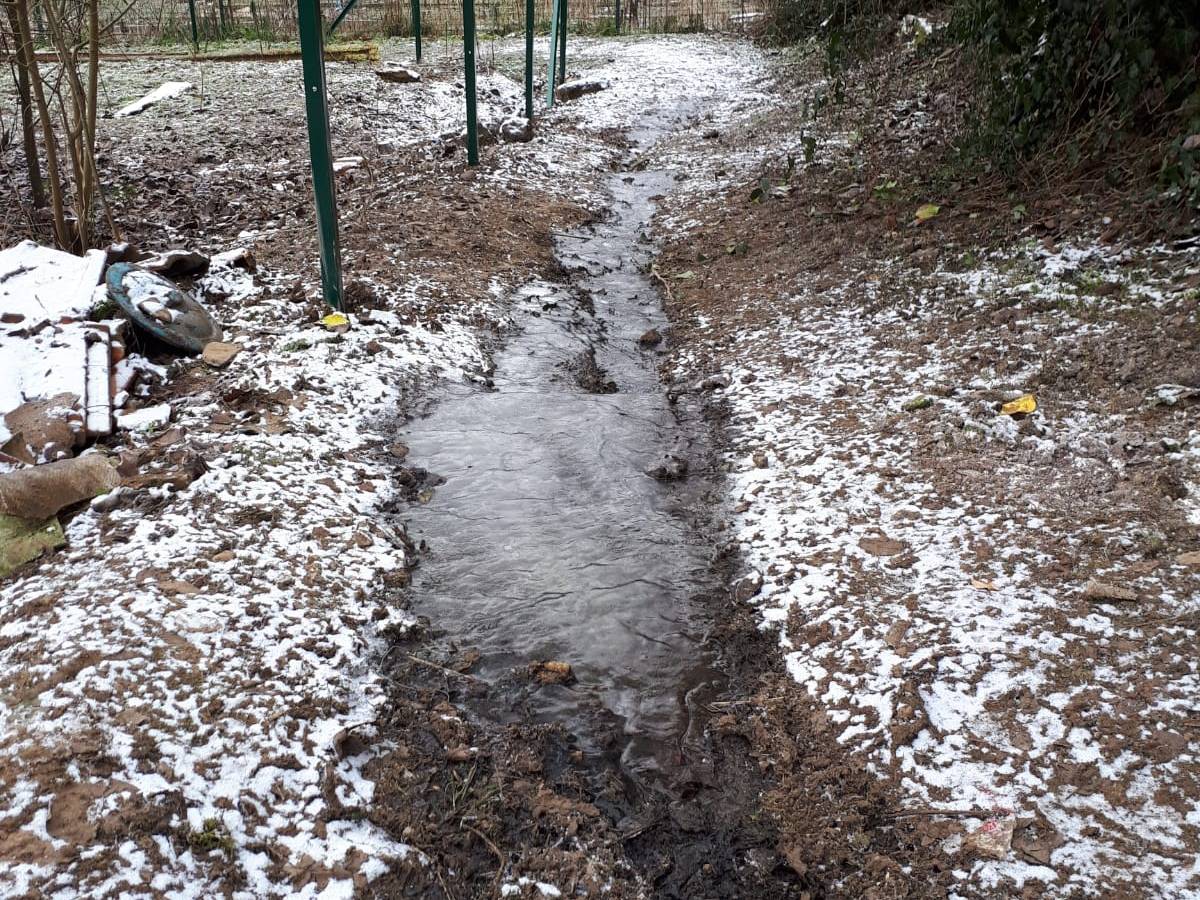 Conseils jardinage en&nbsp;automne