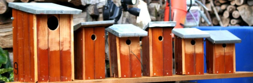 Fabrication et entretien de&nbsp;nichoirs