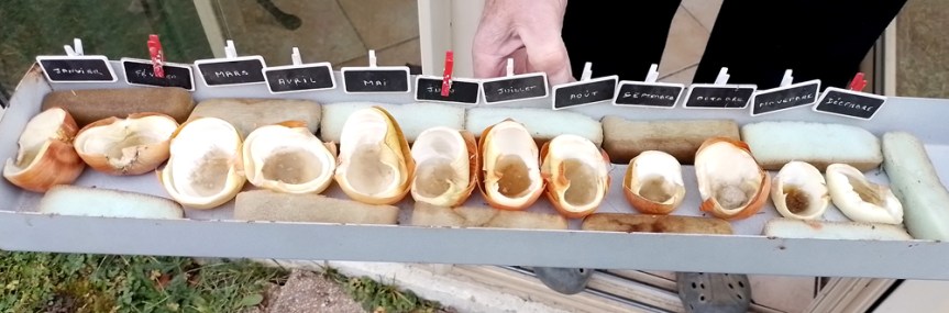 Les prévisions météo pour&nbsp;2026