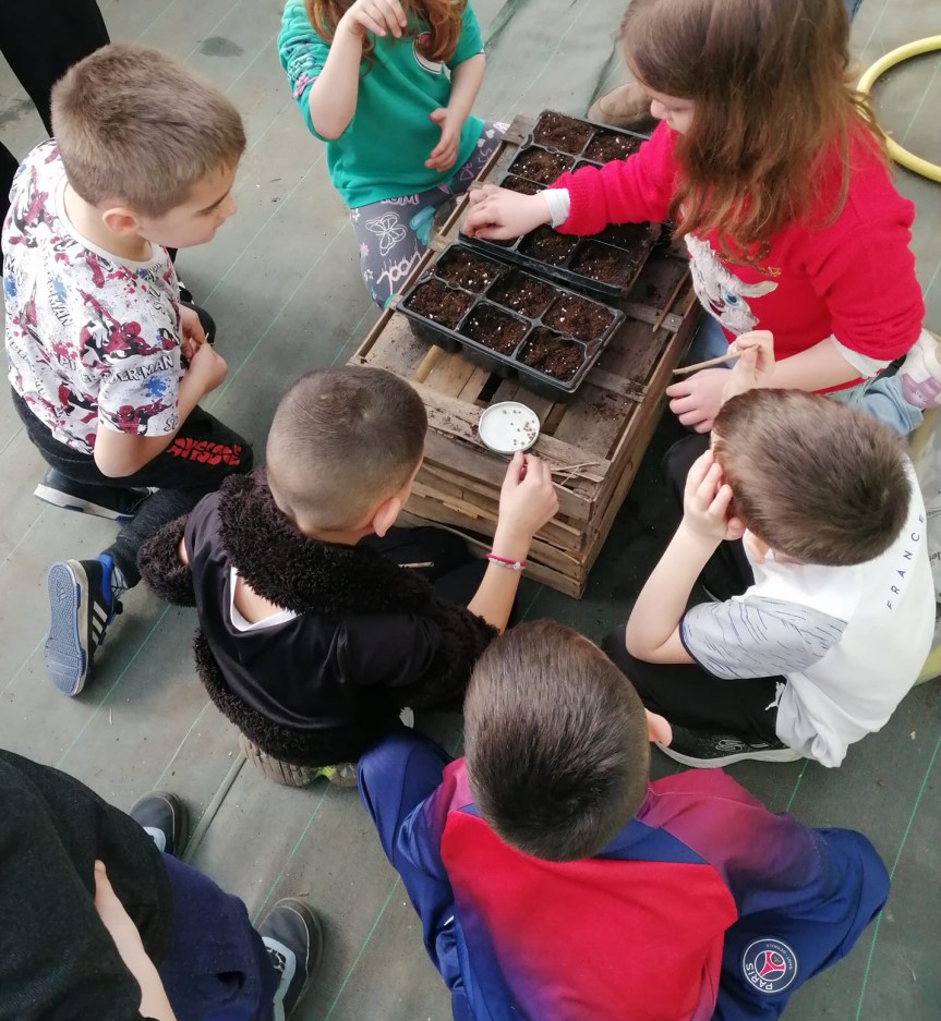 Semis aux serres de l&rsquo;Avant-Garde