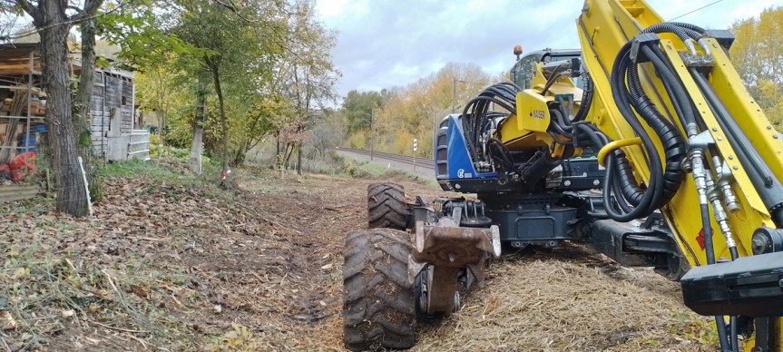 Activités au jardin